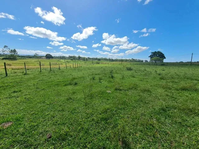 Imagem 14: Fazenda em Araruama com 52 Alqueires - São Vicente de Paula -...