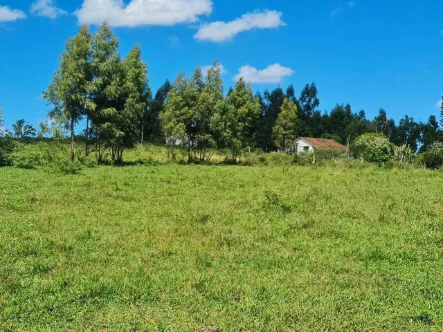 Imagem 16: Fazenda em Araruama com 52 Alqueires - São Vicente de Paula -...