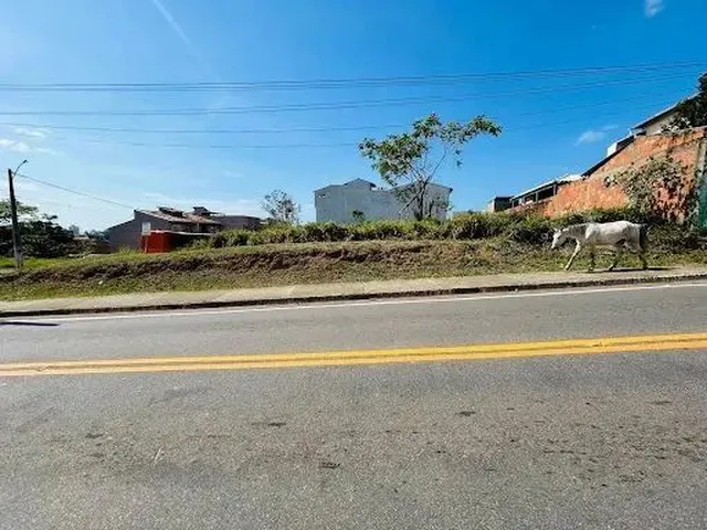 Imagem: O terreno possui 1.079m² de Área, Imóvel novo e está
