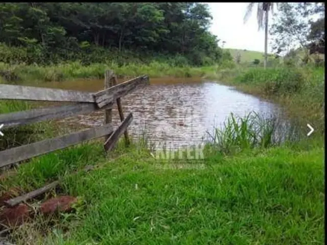 Imagem 8: Fazenda com 3 Dormitórios À Venda, 2807200 M² por R$ 5.800.000,00 - Centro
