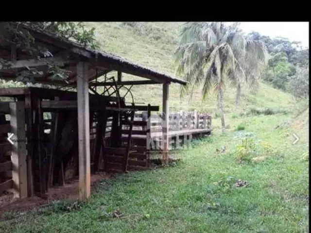 Imagem 7: Fazenda com 3 Dormitórios À Venda, 2807200 M² por R$ 5.800.000,00 - Centro