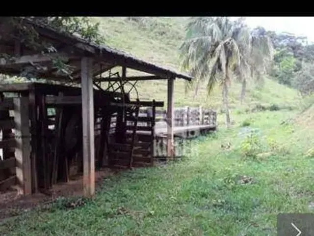 Imagem 13: Fazenda com 3 Dormitórios À Venda, 2807200 M² por R$ 5.800.000,00 - Centro