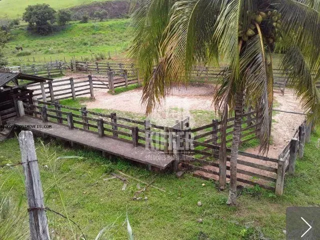 Imagem 16: Fazenda com 3 Dormitórios À Venda, 2807200 M² por R$ 5.800.000,00 - Centro