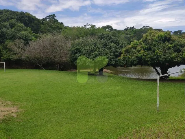 Imagem 15: .