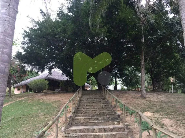 Imagem 13: .