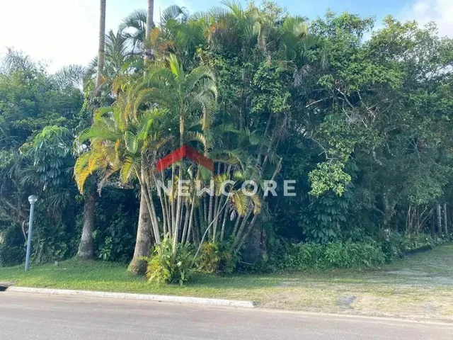 Imagem: Lote em Alameda São Caetano - Boracéia