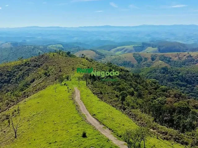 Imagem: Sítio Sem Benfeitorias Á Venda em Guaratinguetá-Sp
