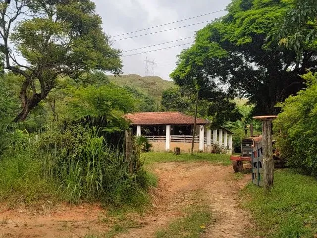 Imagem: Fazenda de 77Ha em Areias Sp