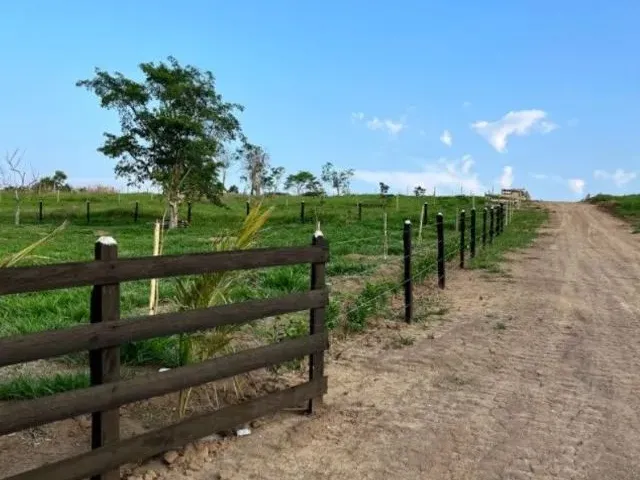 Imagem: Terreno Amplo e Plano (1100M²) - Lorena