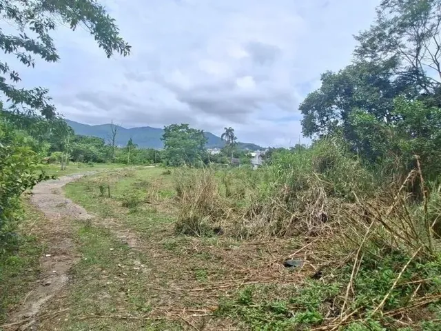 Imagem: Terreno de 17.000 M² para Alugar em Florianópolis/Sc!