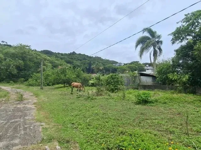 Imagem 13: Terreno de 17.000 M² para Alugar em Florianópolis/Sc!