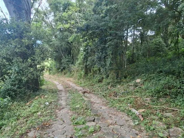 Imagem 11: Terreno de 17.000 M² para Alugar em Florianópolis/Sc!