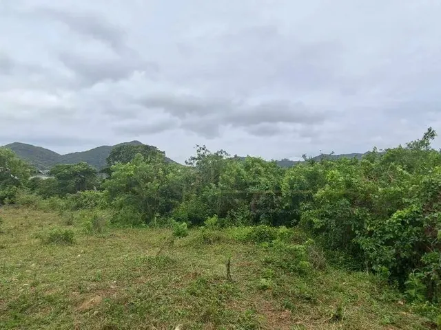 Imagem 2: Terreno de 17.000 M² para Alugar em Florianópolis/Sc!