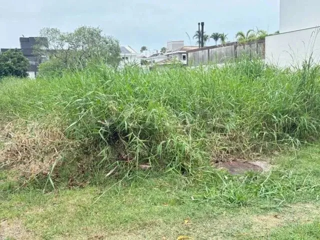 Imagem: Terreno para Venda em Florianópolis, Jurerê