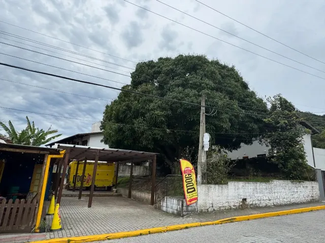 Imagem 3: Terreno a Venda em Santo Antônio de Lisboa