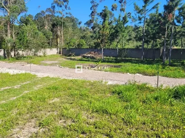 Imagem: Lote / Terreno em Ratones - Florianópolis