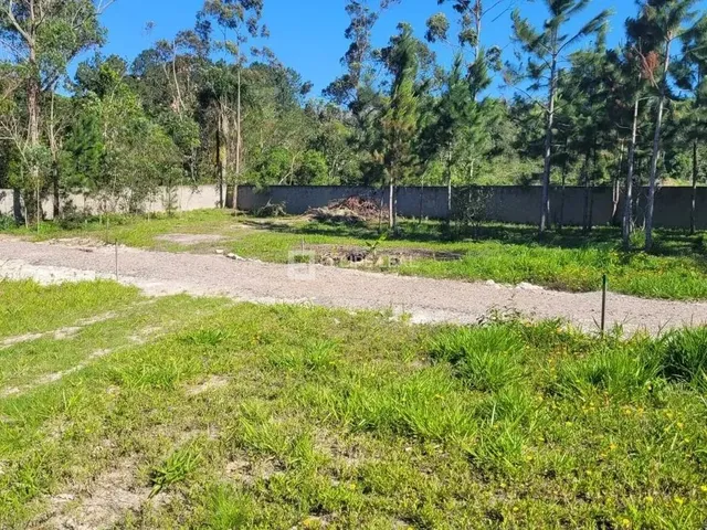 Imagem 11: Lote / Terreno em Ratones - Florianópolis, Sc