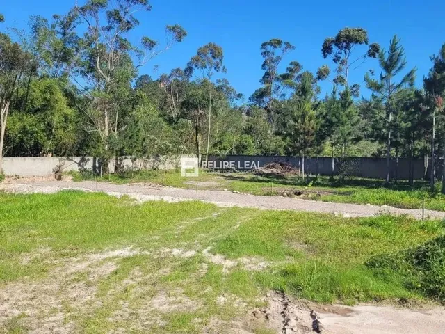 Imagem 4: Lote / Terreno em Ratones - Florianópolis, Sc