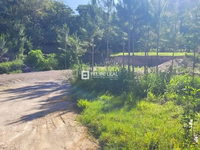 Imagem 12: Lote / Terreno em Ratones - Florianópolis, Sc