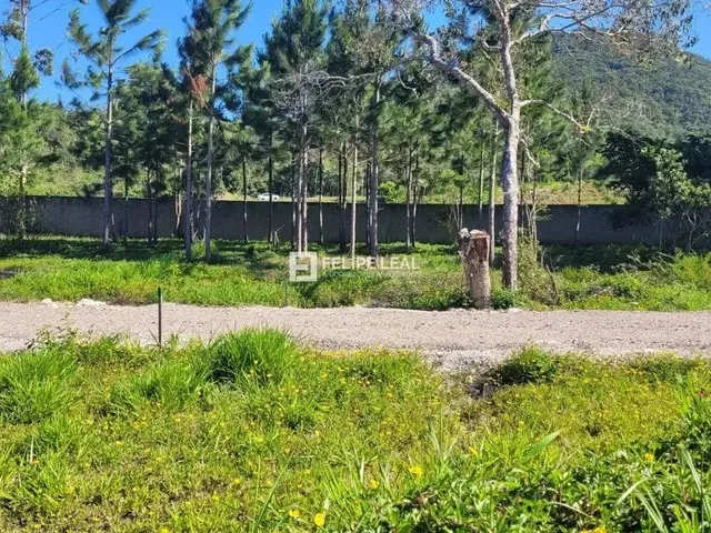 Imagem 6: Lote / Terreno em Ratones - Florianópolis, Sc