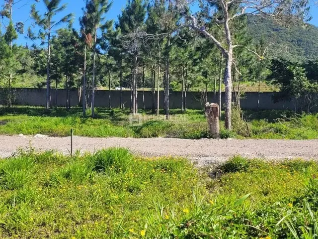 Imagem 16: Lote / Terreno em Ratones - Florianópolis, Sc