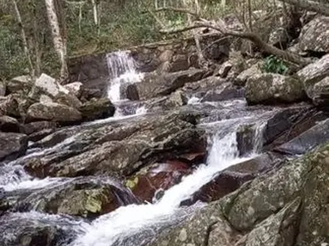 Imagem 7: Lindo Sítio ( 50M Asfalto)Com Cachoeiras em Vargem Grande