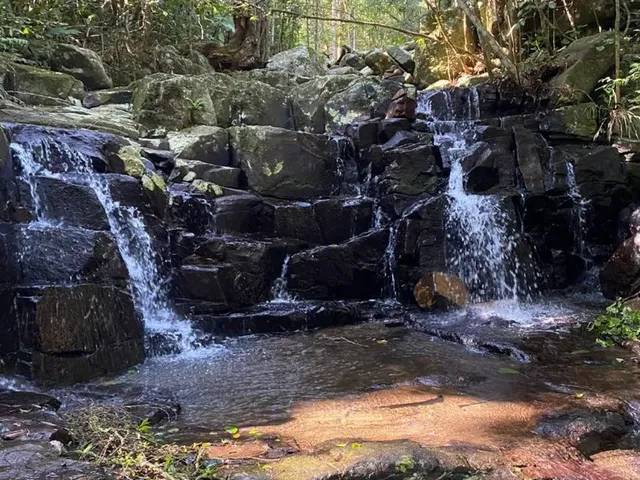 Imagem 2: Área 28.365M2 com Cachoeiras em Vargem Grande Florianópolis