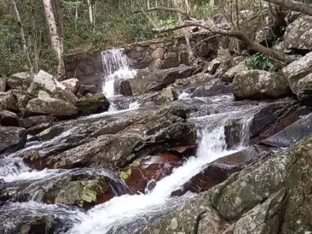 Imagem 5: Área 28.365M2 com Cachoeiras em Vargem Grande Florianópolis
