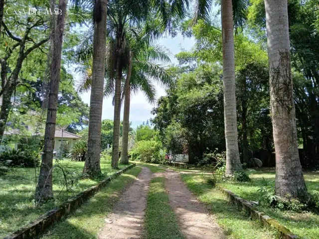 Imagem 12: Sítio para Venda em Florianópolis, Ratones, 3 Dormitórios, 1 Suíte, 4 Banheiros, 2