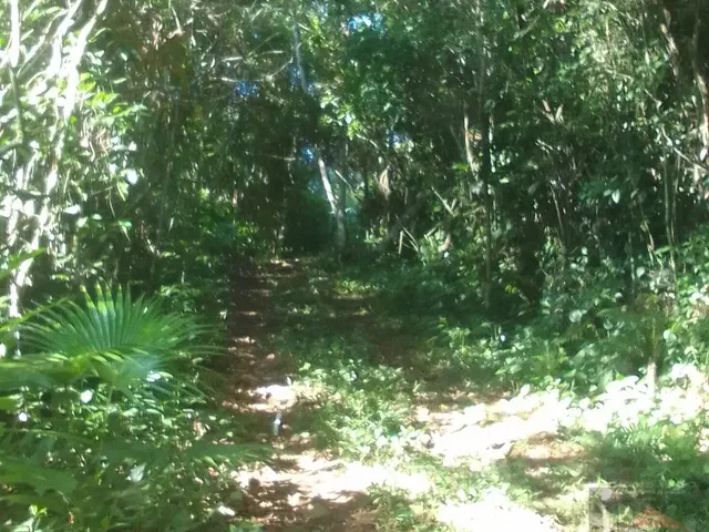 Imagem: Terreno Disponível para Venda, Um Investimento