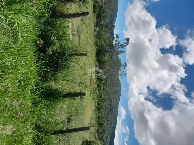Imagem 7: Sitio com 5.280 M² À Venda, Bairro Ratones, Florianópolis Sc