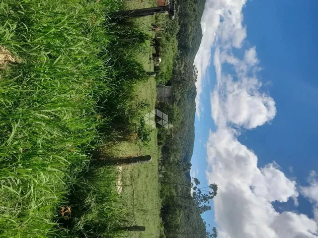 Imagem 6: Sitio com 5.280 M² À Venda, Bairro Ratones, Florianópolis Sc