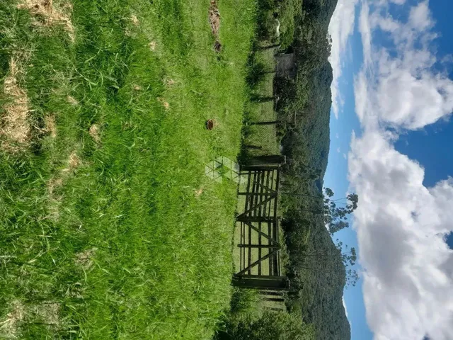 Imagem 2: Sitio com 5.280 M² À Venda, Bairro Ratones, Florianópolis Sc
