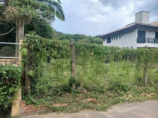 Imagem: Terreno À Venda, 600 M² por R$ 2.490.000,00