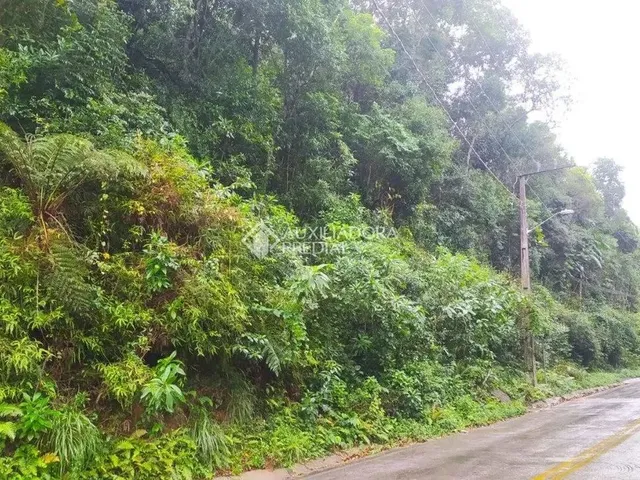 Imagem: Terreno a Venda na Vargem Grande - Florianópolis
