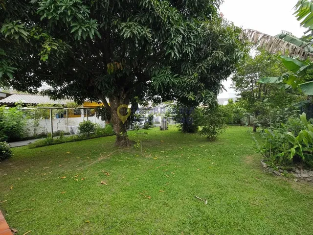 Imagem 14: Terreno À Venda em Daniela - Florianópolis, Sc