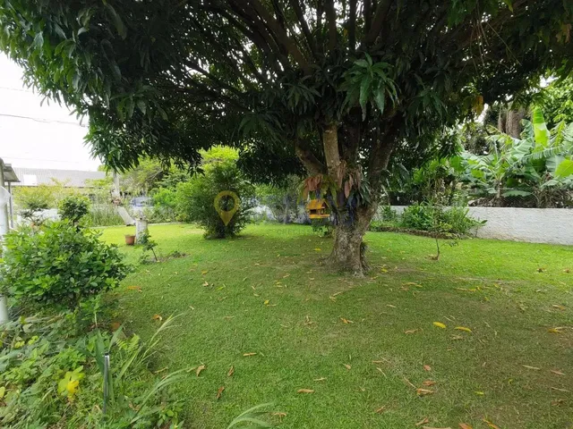 Imagem 7: Terreno À Venda em Daniela - Florianópolis, Sc