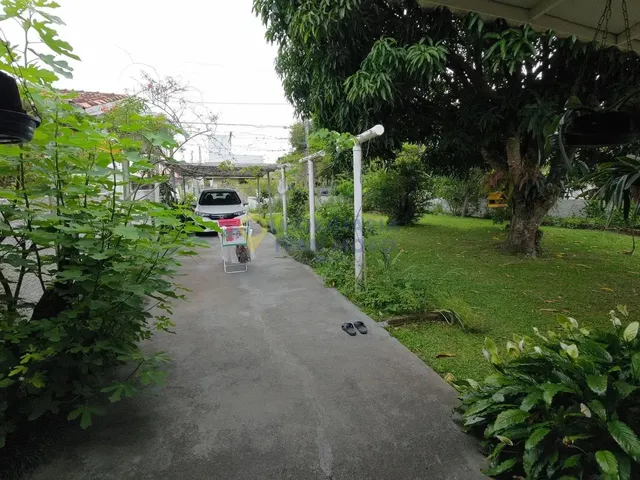 Imagem 11: Terreno À Venda em Daniela - Florianópolis, Sc