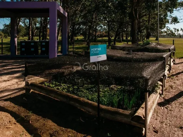 Imagem 10: Terreno com 360M² em Canavieiras, Florianópolis
