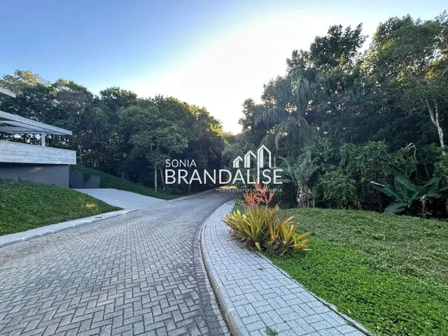 Imagem: Exclusividade Sonia Brandalise!