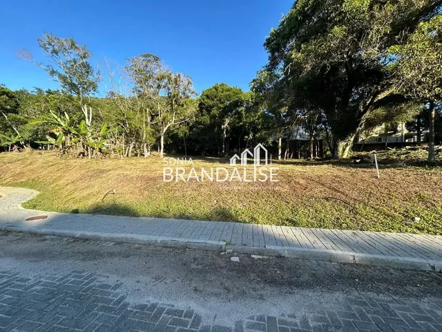 Imagem 3: Exclusividade Sonia Brandalise!