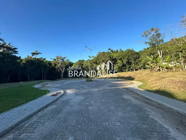 Imagem 5: Exclusividade Sonia Brandalise!