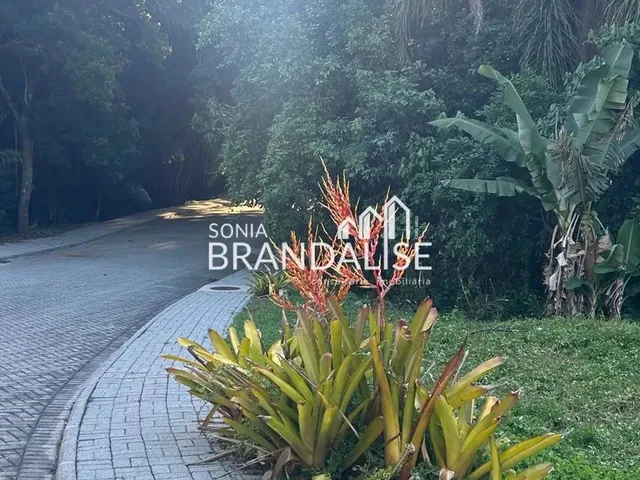 Imagem 2: Exclusividade Sonia Brandalise!