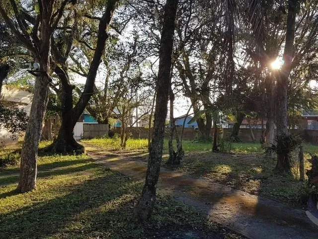 Imagem: Terreno para Venda em Florianópolis, João