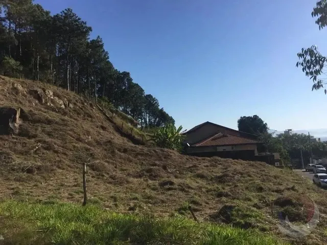 Imagem 4: Terreno para Venda em Florianópolis, João Paulo