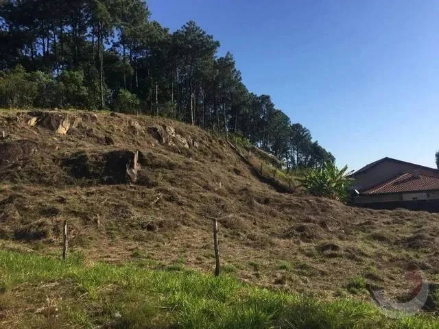Imagem 2: Terreno para Venda em Florianópolis, João Paulo