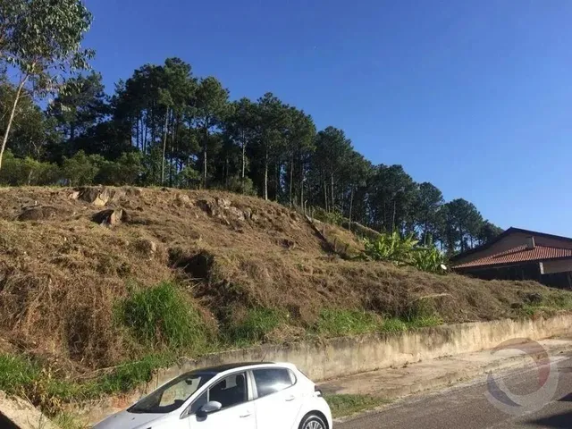 Imagem 5: Terreno para Venda em Florianópolis, João Paulo