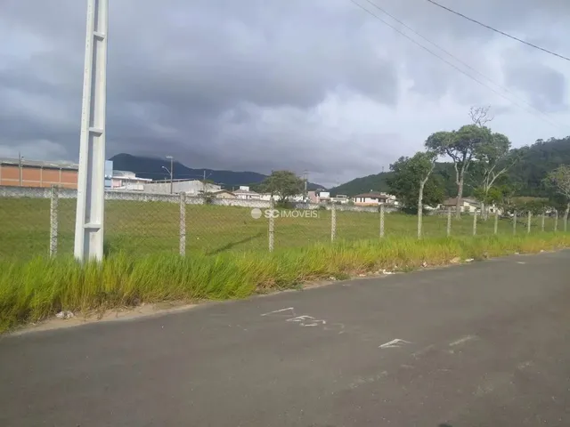 Imagem: Terreno Plano À Margem da Avenida Internacional