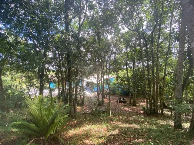 Imagem 5: Chácara À Venda na Vargem Pequena, Florianópolis/Sc
