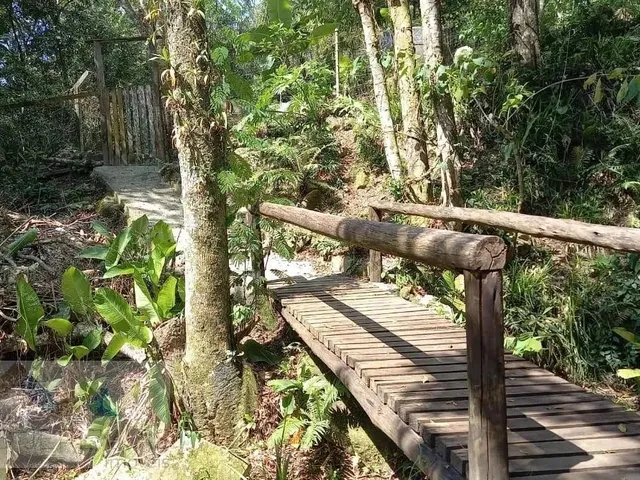 Imagem 6: Sítio À Venda em Vargem do Bom Jesus, Florianópolis: 118M², 3 Quartos, Suíte, 2